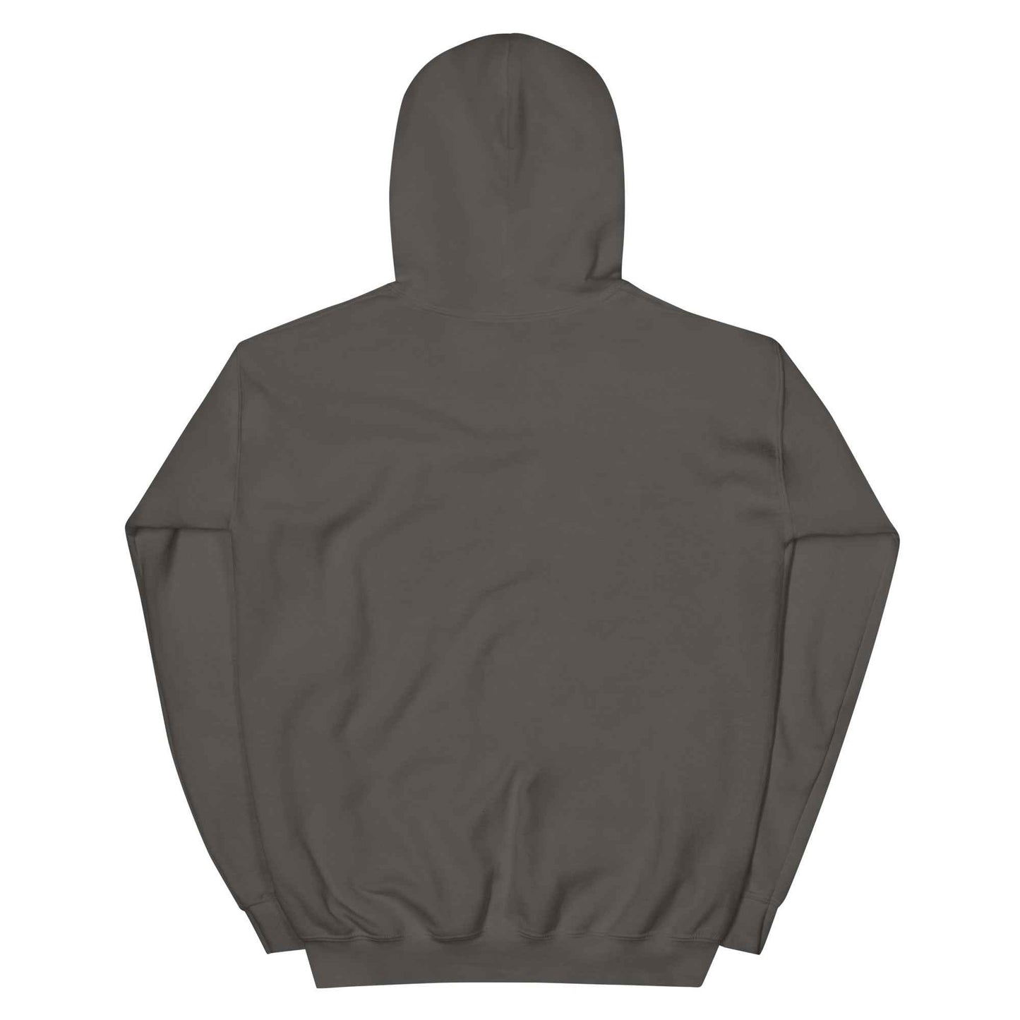 Understand who we are today "Hoody"