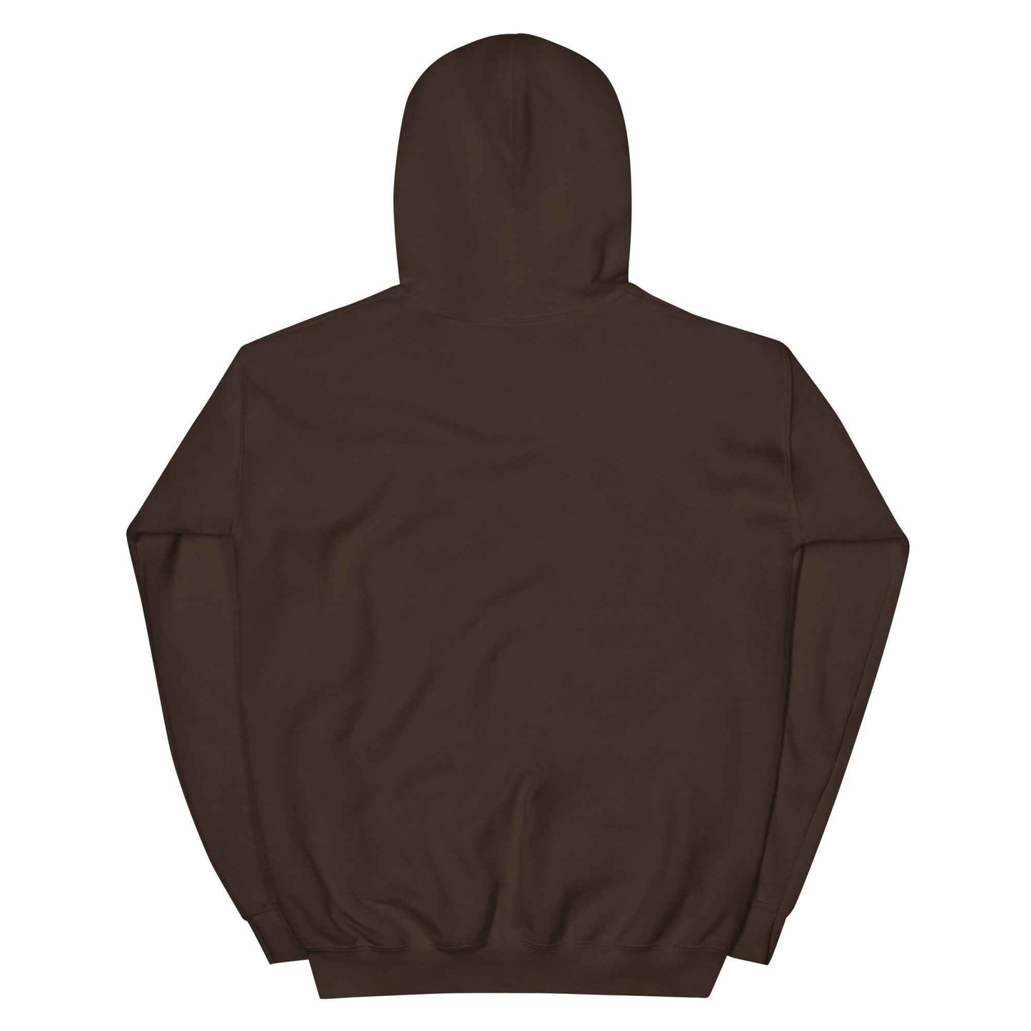 Understand who we are today "Hoody"