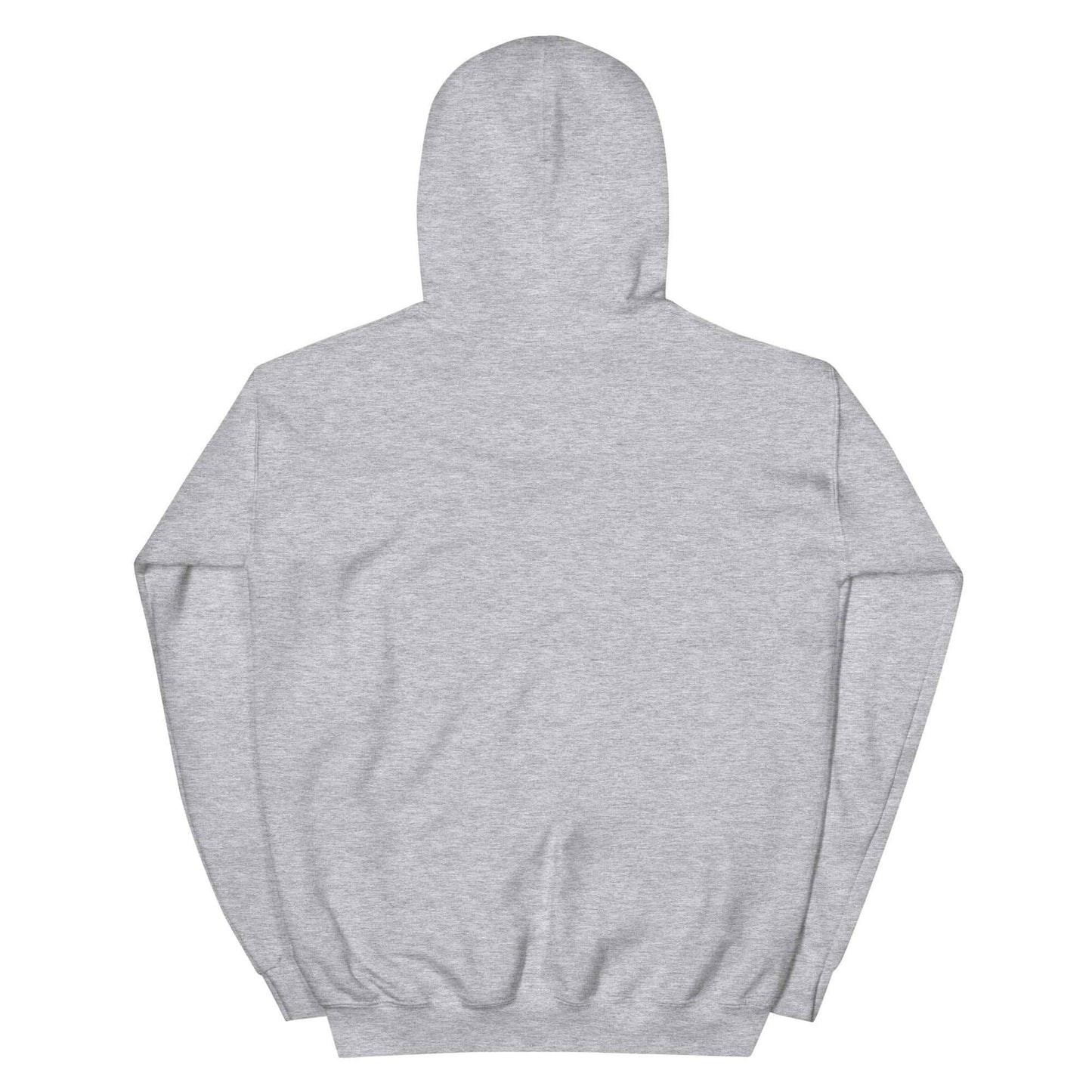 Understand who we are today "Hoody"